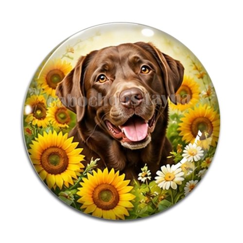 Cabochon chien, résine ou verre rond différente taille