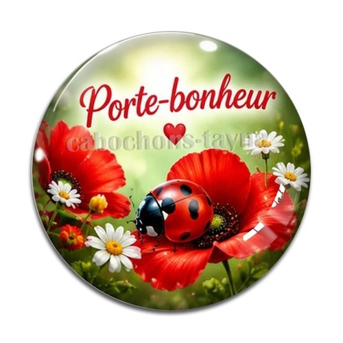 Cabochon porte bonheur, en résine ou en verre différente taille