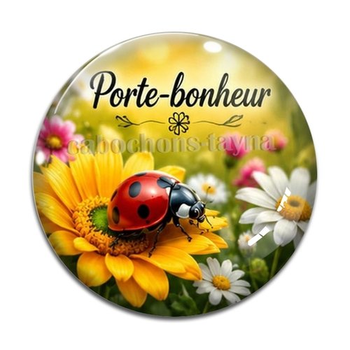 Cabochon porte bonheur, en résine ou en verre différente taille