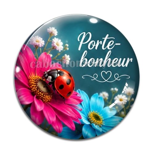 Cabochon porte bonheur, en résine ou en verre différente taille