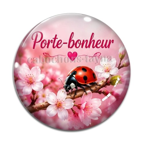 Cabochon porte bonheur, en résine ou en verre différente taille