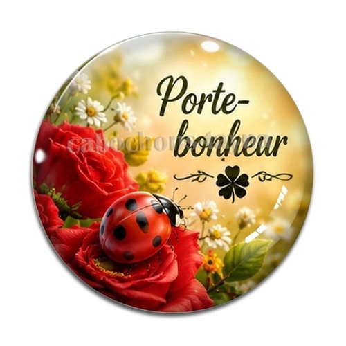 Cabochon porte bonheur, en résine ou en verre différente taille