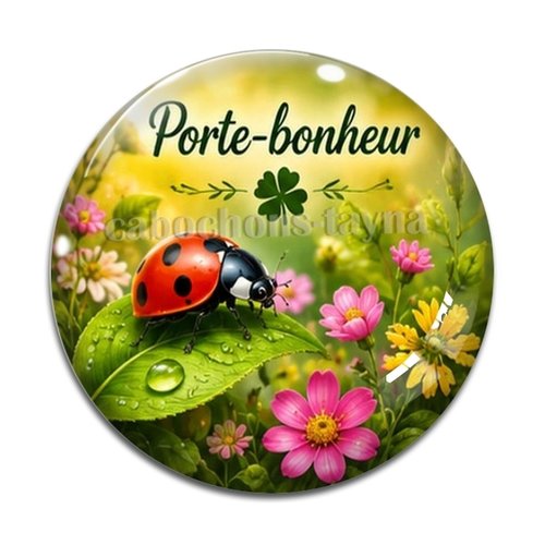 Cabochon porte bonheur, en résine ou en verre différente taille
