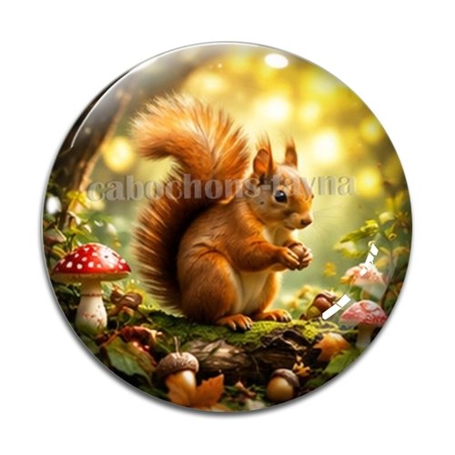 Cabochon écureuil, cabochon résine ou verre rond différente taille