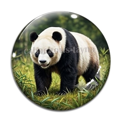 Cabochon panda, cabochon résine ou verre rond différente taille