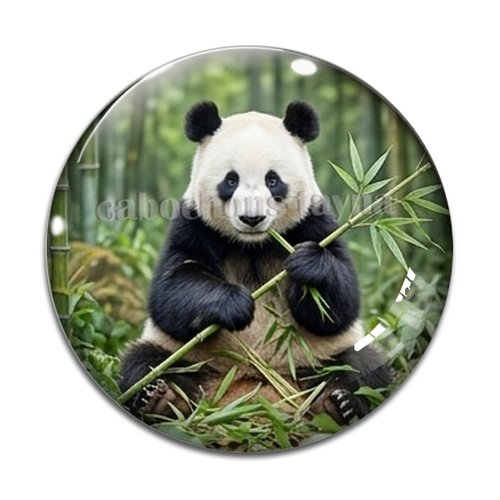 Cabochon panda, cabochon résine ou verre rond différente taille