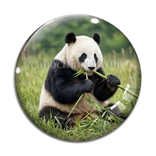 Cabochon panda, cabochon résine ou verre rond différente taille
