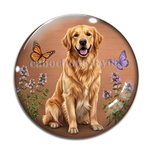 Cabochon chien, résine ou verre rond différente taille