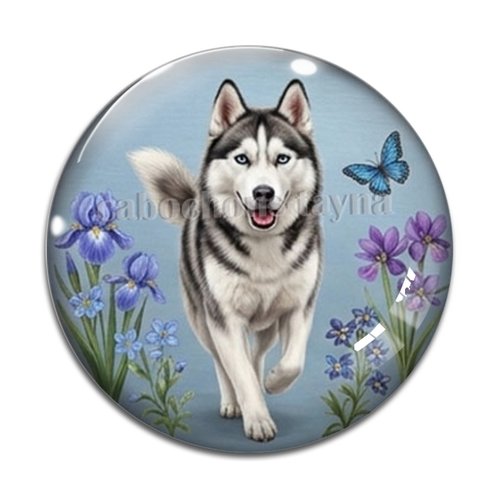 Cabochon chien, résine ou verre rond différente taille
