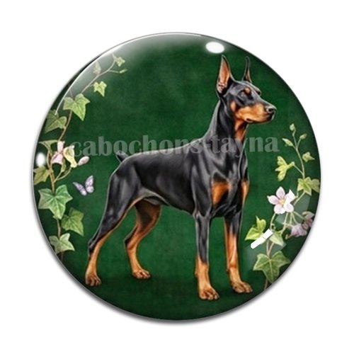 Cabochon chien, résine ou verre rond différente taille