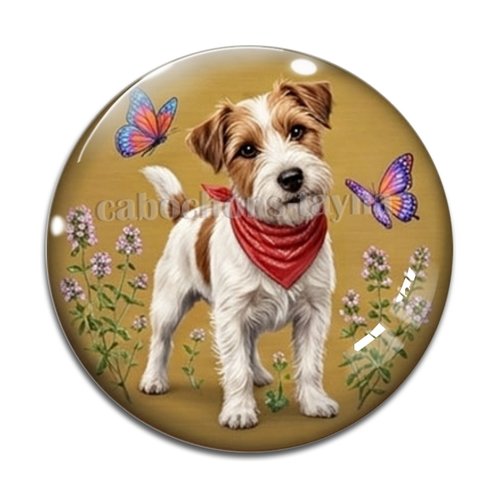 Cabochon chien, résine ou verre rond différente taille