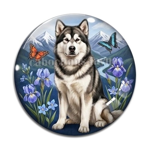 Cabochon chien, résine ou verre rond différente taille
