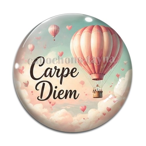 Cabochon carpe diem, résine ou verre rond différente taille