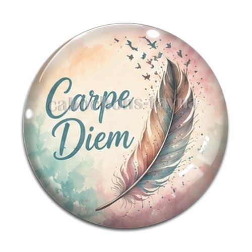 Cabochon carpe diem, résine ou verre rond différente taille
