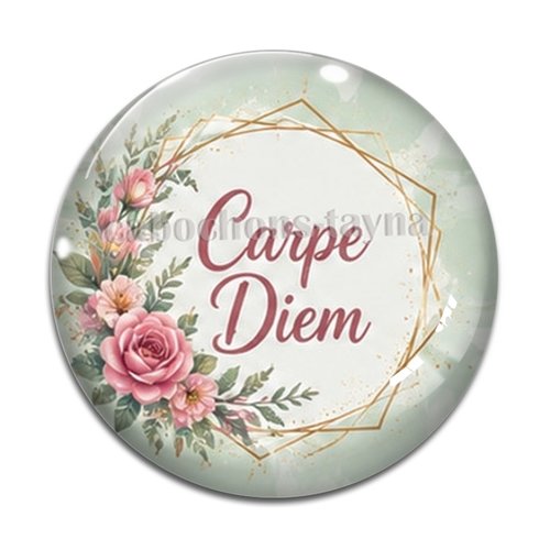 Cabochon carpe diem, résine ou verre rond différente taille