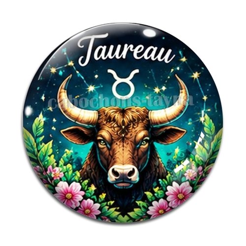 Cabochon signe astrologique, en résine ou en verre différente taille