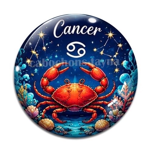 Cabochon signe astrologique, en résine ou en verre différente taille
