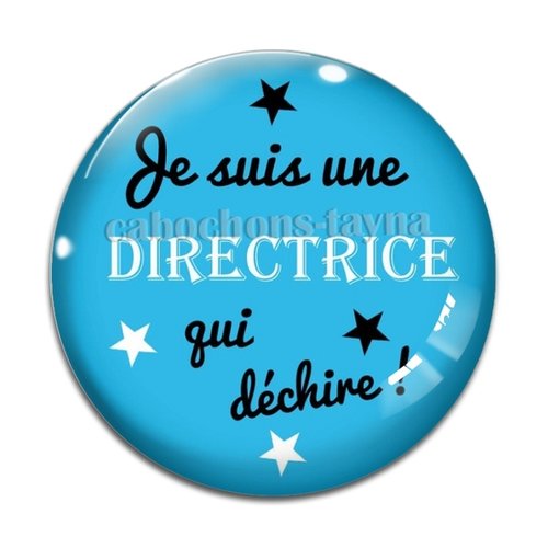 Cabochon je suis une directrice qui déchire, résine ou verre rond différente taille