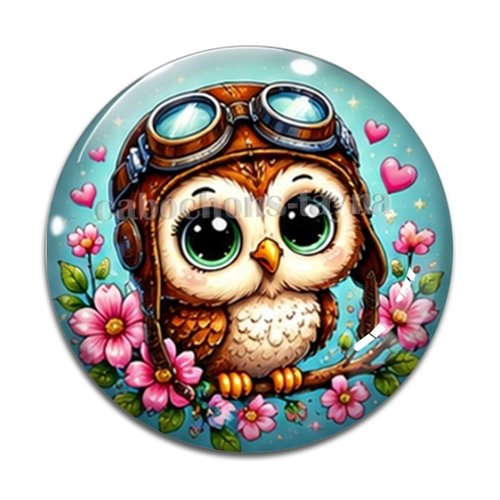 Cabochon chouette, cabochon résine - ou verre rond différente taille