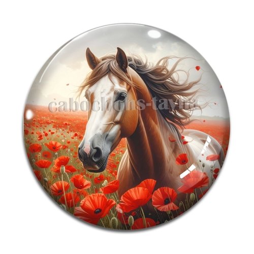 Cabochon cheval, cabochon résine ou verre rond différente taille
