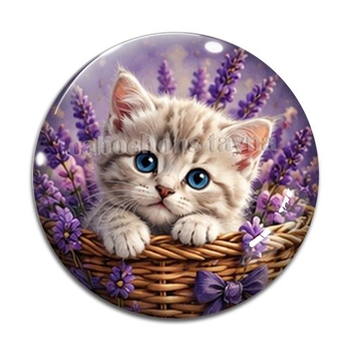 Cabochon chaton lavande, résine ou verre rond différente taille