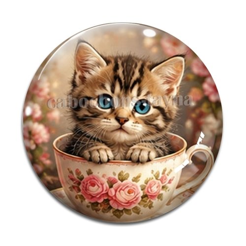 Cabochon chaton tasse, résine ou verre rond différente taille