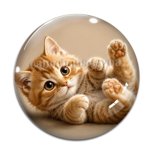 Cabochon chaton, résine ou verre rond différente taille