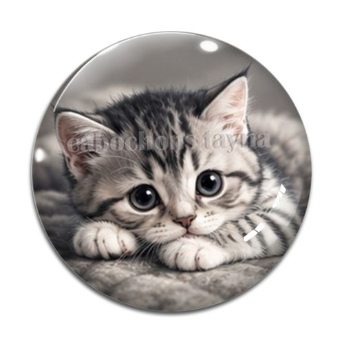 Cabochon chaton, résine ou verre rond différente taille