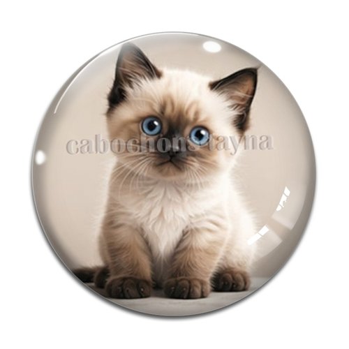 Cabochon chaton, résine ou verre rond différente taille