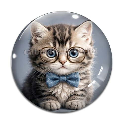Cabochon chaton gris, résine ou verre rond différente taille