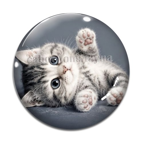 Cabochon chaton gris, résine ou verre rond différente taille