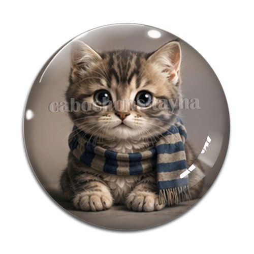 Cabochon chaton, résine ou verre rond différente taille