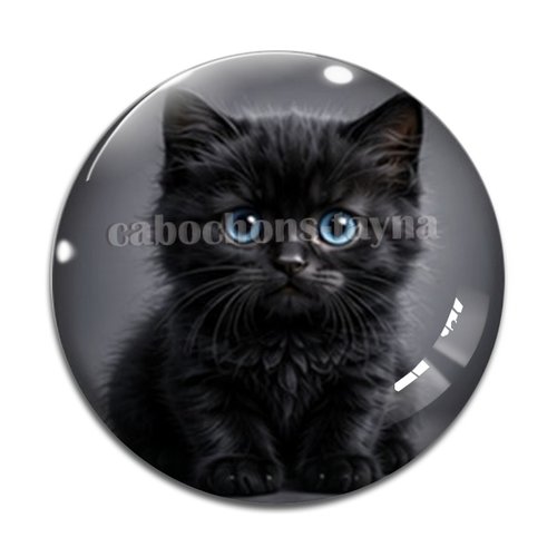 Cabochon chaton, résine ou verre rond différente taille