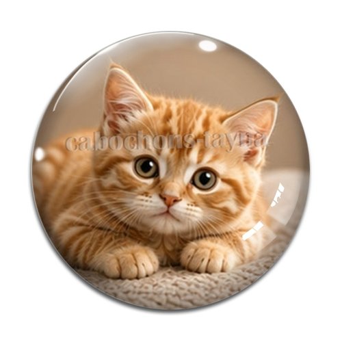 Cabochon chaton, résine ou verre rond différente taille