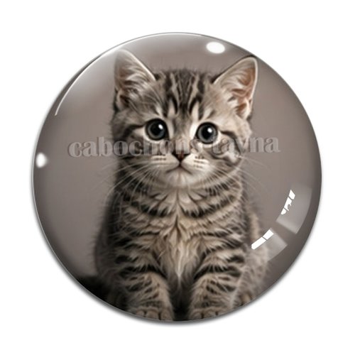 Cabochon chaton, résine ou verre rond différente taille