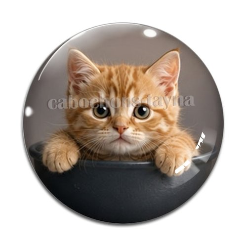 Cabochon chaton, résine ou verre rond différente taille