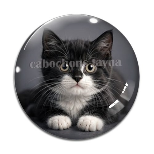 Cabochon chaton, résine ou verre rond différente taille