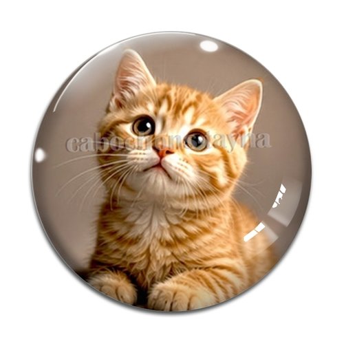 Cabochon chaton, résine ou verre rond différente taille