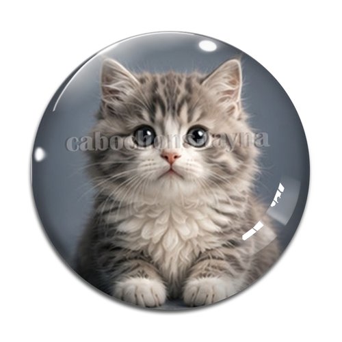 Cabochon chaton, résine ou verre rond différente taille