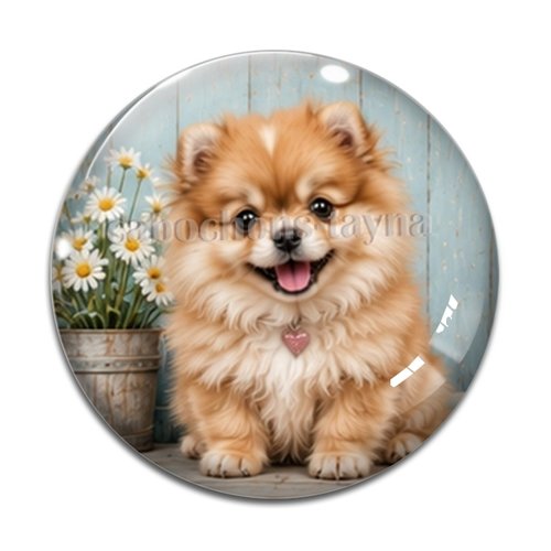 Cabochon chien, résine ou verre rond différente taille