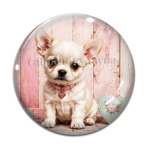 Cabochon chien, résine ou verre rond différente taille