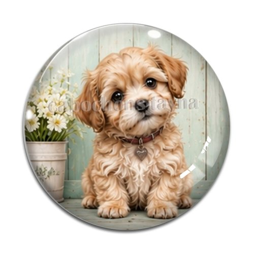 Cabochon chien, résine ou verre rond différente taille
