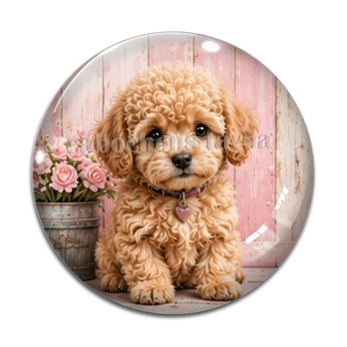 Cabochon chien, résine ou verre rond différente taille