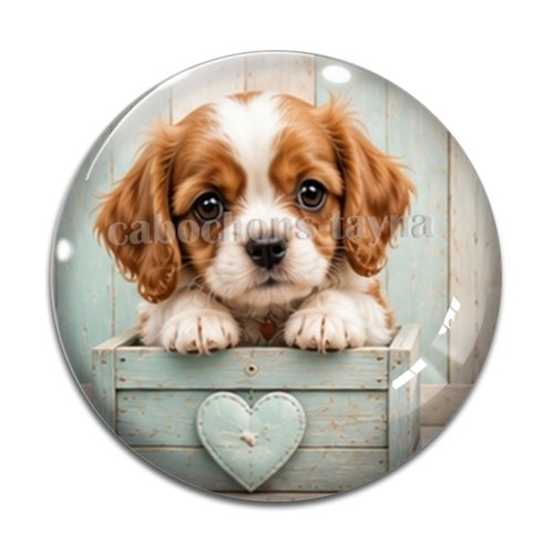 Cabochon chien, résine ou verre rond différente taille