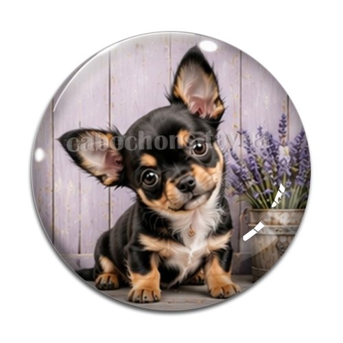 Cabochon chien, résine ou verre rond différente taille