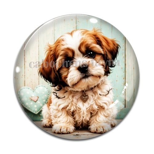 Cabochon chien, résine ou verre rond différente taille
