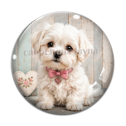 Cabochon chien, résine ou verre rond différente taille