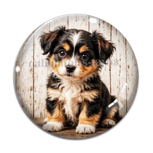 Cabochon chien, résine ou verre rond différente taille