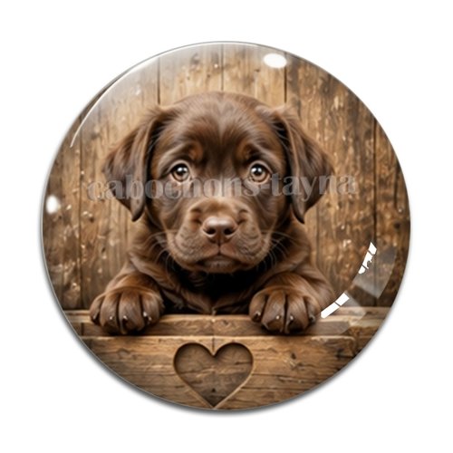 Cabochon chien, résine ou verre rond différente taille