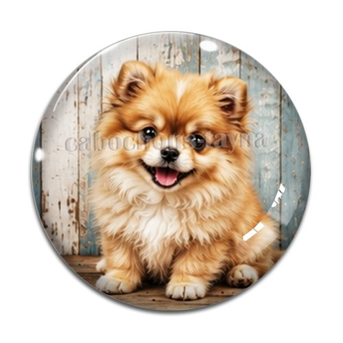 Cabochon chien, résine ou verre rond différente taille